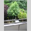 Blick ins Grüne